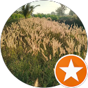 Thumnong kai profile picture